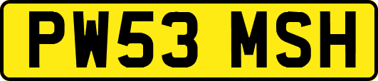 PW53MSH