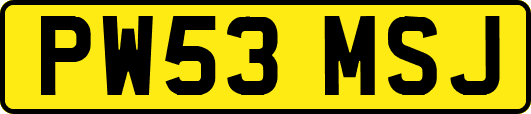 PW53MSJ
