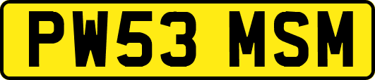 PW53MSM