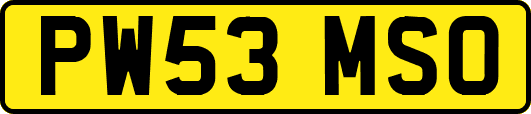PW53MSO