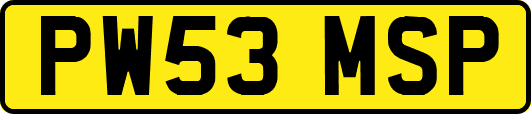PW53MSP