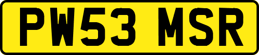 PW53MSR
