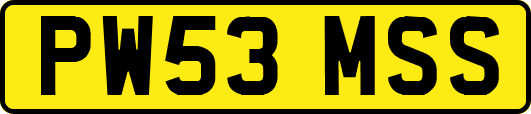 PW53MSS