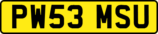 PW53MSU