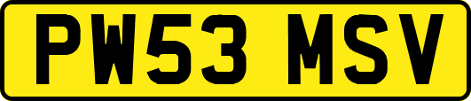 PW53MSV