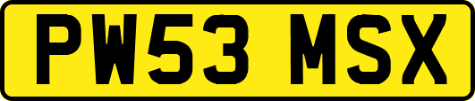 PW53MSX