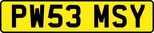 PW53MSY