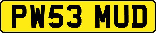 PW53MUD