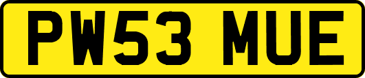 PW53MUE