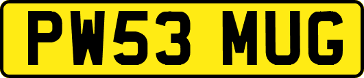 PW53MUG