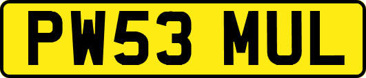 PW53MUL