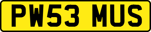 PW53MUS