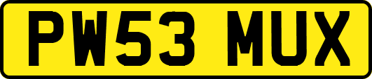 PW53MUX