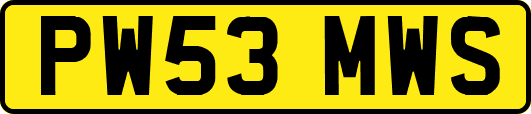 PW53MWS