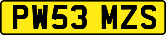 PW53MZS