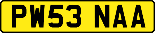 PW53NAA