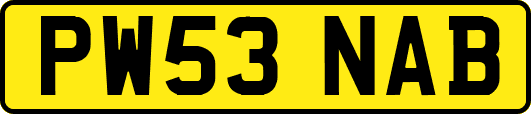PW53NAB