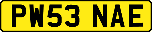 PW53NAE