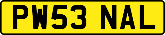 PW53NAL