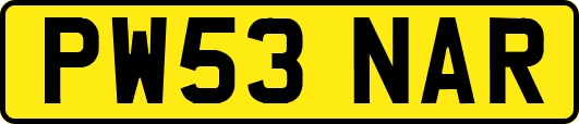 PW53NAR