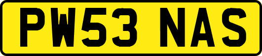 PW53NAS