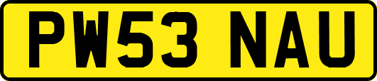 PW53NAU