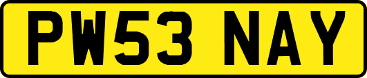 PW53NAY