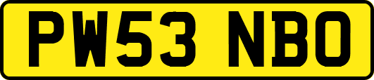 PW53NBO