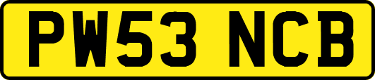 PW53NCB