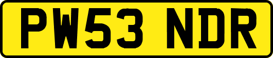 PW53NDR