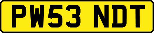 PW53NDT