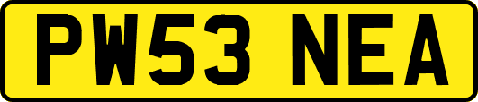 PW53NEA