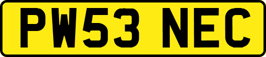 PW53NEC