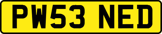 PW53NED