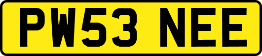 PW53NEE