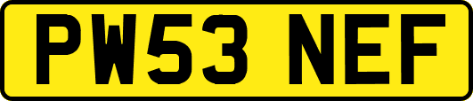 PW53NEF