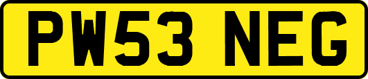 PW53NEG