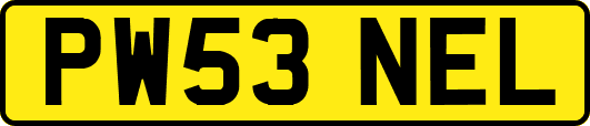 PW53NEL