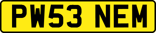 PW53NEM