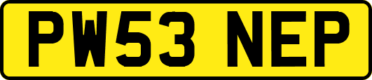 PW53NEP
