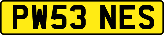 PW53NES