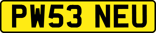 PW53NEU