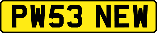 PW53NEW
