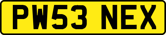 PW53NEX