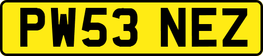 PW53NEZ