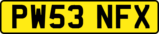 PW53NFX