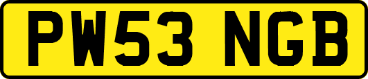 PW53NGB
