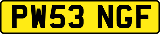 PW53NGF