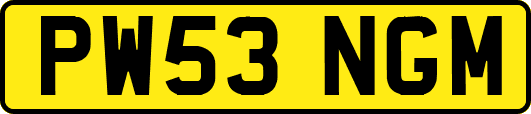 PW53NGM