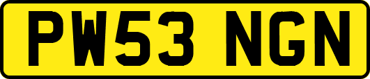 PW53NGN